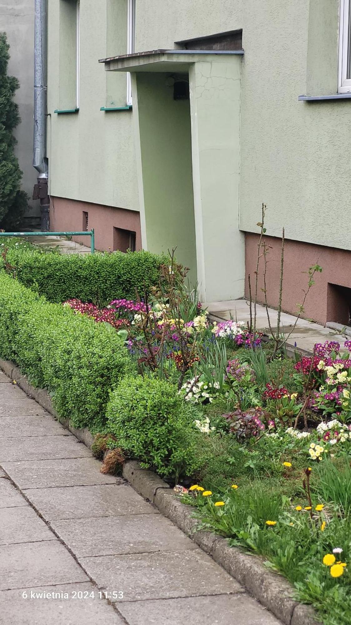 פז'מיסל Apartament 22 Stycznia 3 מראה חיצוני תמונה